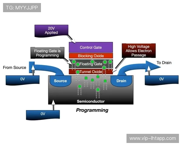 fg电子试玩安全性分析选择正规平台保障个人信息与资金安全的最佳策略 fg电子试玩安全性分析选择正规平台保障个人信息与资金安全的最佳策略