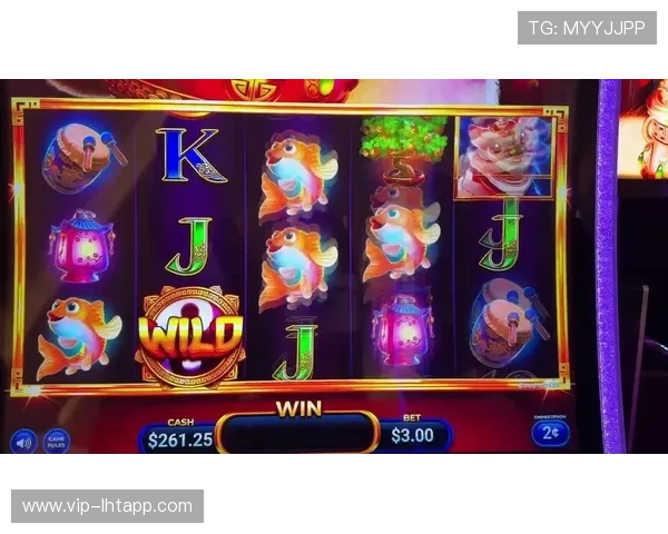 最新老虎机手机版单机免费版本上线，带来全新界面和丰富奖励内容