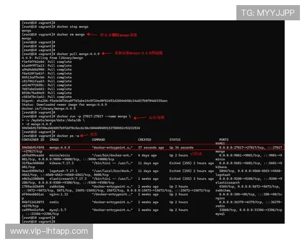 全面介绍db电子书下载的安全性与合法性问题及应对策略