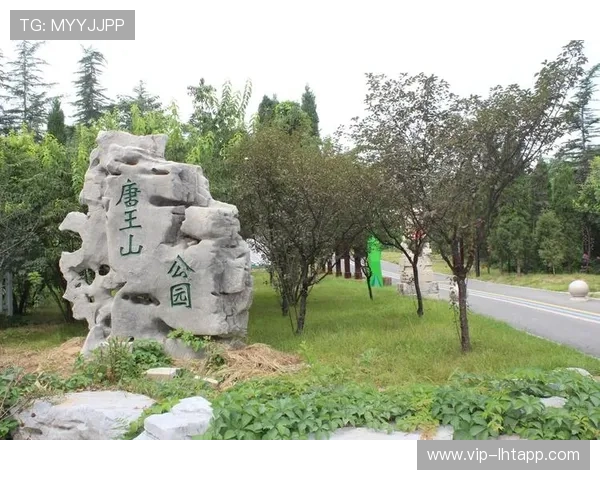 老虎机上那首英文歌叫的相关趣闻轶事与玩家的真实反馈 老虎机上那首英文歌叫的相关趣闻轶事与玩家的真实反馈